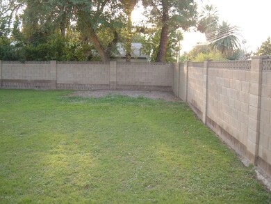 Bonita back yard 1
