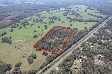 TBD S Us 301, Webster, FL 33597 - photo 6