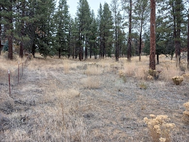 0 Arrowhead Ln unit Lot 20, Chiloquin, OR 97639 - photo 4