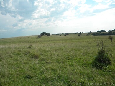 Looking West towards the road from the middle of t