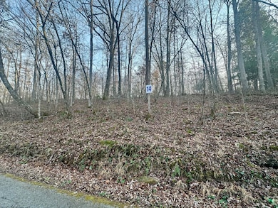 Lot 14 Hensley Rd, East Bernstadt, KY 40729 - photo 2