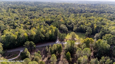 1560 Landers Swink Rd, Eclectic, AL 36024 - photo 7