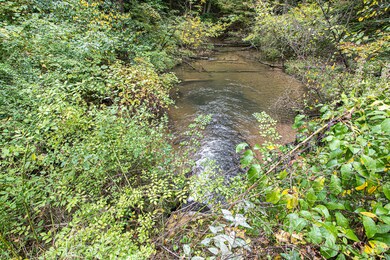 Blue Creek