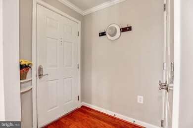 4081 S Four Mile Run Dr unit 404, Arlington, VA 22204 - photo 5