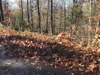 -- Boswell Cir, Bella Vista, AR 72715 - photo 4