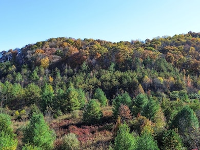 0 White Oak Rd, Duff, TN 37729 - photo 3