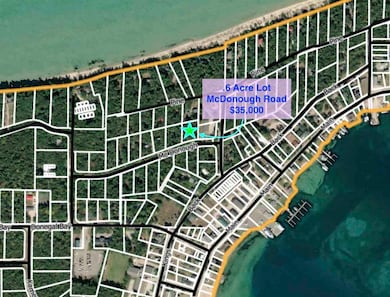 TBD Mcdonough Rd, St. James, MI 49782 - photo 3