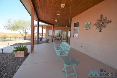 10590 Highway 549 SE, Deming, NM 88030 - photo 6