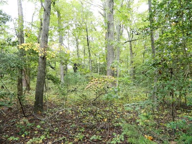 Lot Interior