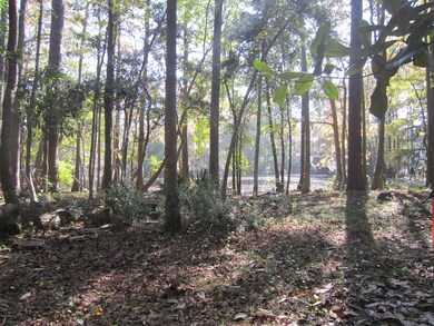 3505 Whimsy Way, Wilmington, NC 28411 - photo 3