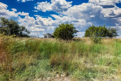 104 Capt Castro, Blanco, TX 78606 - photo 6