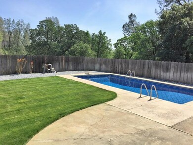 Back Yard 2
