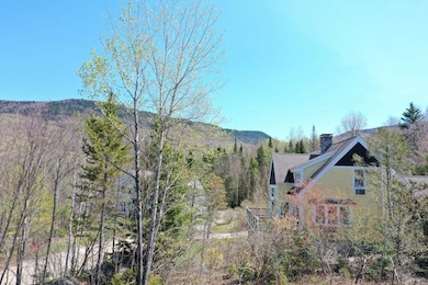 24-23 Bear Brook Ln, Watervl Vly, NH 03215 - photo 5