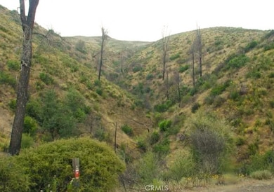 18524 Bartlett Springs Rd, Lucerne, CA 95458 - photo 6