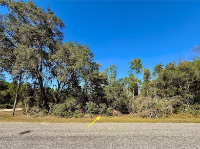 LOT 11 Tulip Ave, Eustis, FL 32736 - photo 2