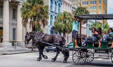 carriage tour