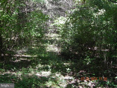 Rr 1 unit 1001181389, Kearneysville, WV 25430 - photo 7