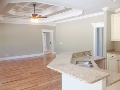 456 Tillis Ln, Crawfordville, FL 32327 - photo 4