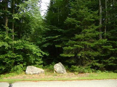 00 States Landing Rd unit 77, Moultonborough, NH 03254 - photo 6