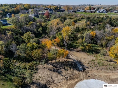 1077 N 28th Ave, Blair, NE 68008 - photo 4