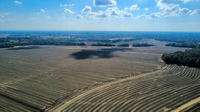 unlisted-address, Headland, AL 36345 - photo 4