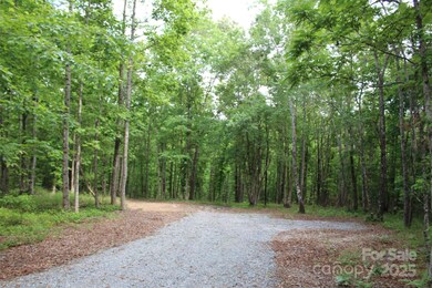 Lot 27 S Cross Creek Trail unit 27, Mill Spring, NC 28756 - photo 3