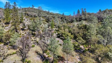 10530 Grubstake Trail, Rough and Ready, CA 95975 - photo 4