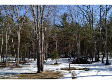 Back Yard.