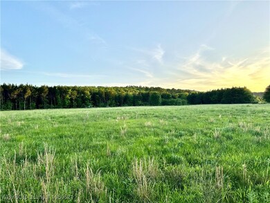 Tract 14 Merle Branch Ln, Heavener, OK 74937 - photo 6