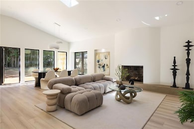 Living room with light wood-type flooring, a skylight, and lofted ceiling