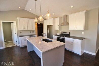 unlisted-address, Downs, IL 61736 - photo 6