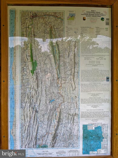 171 Tapestry Ln, Winchester, VA 22603 - photo 7