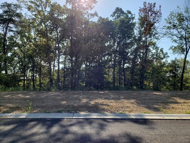 20 Kilner Goodlet Ct, Mount Washington, KY 40047 - photo 3