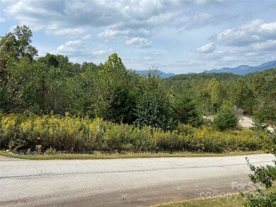 0 Willow Top Ln unit 311 CAR4197864, Lake Lure, NC 28746 - photo 2