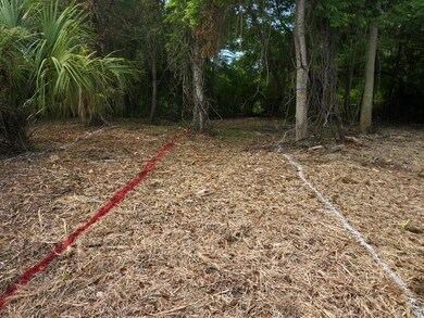 Red is new road center line