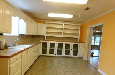 689 Wade Rd, Pelham, GA 31779 - photo 5