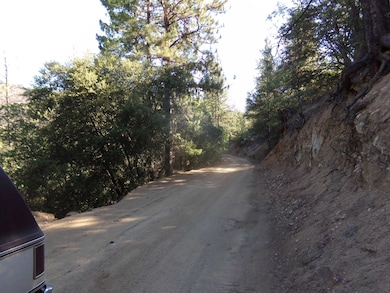 XX Humbug Rd, Yreka, CA 96097 - photo 5