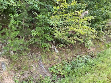 TBD D G Echerd Rd unit 2, Taylorsville, NC 28681 - photo 7