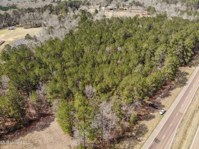DJI_0569