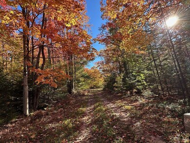 4393 Grossman Rd, Rogers City, MI 49779 - photo 2