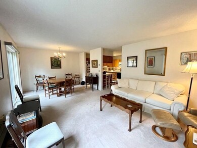 202 Fairway Village, Leeds, MA 01053 - photo 6