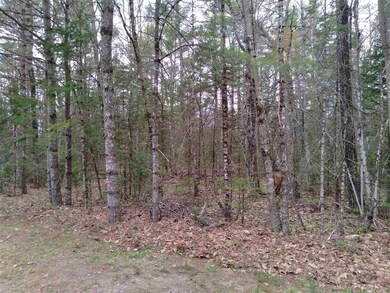 Lot 14 Partridge Berry Cir, Tuftonboro, NH 03254 - photo 3