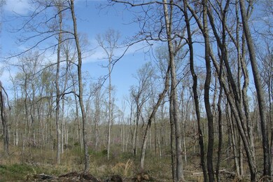 60 Bridle Trail Dr, Calvey Township, MO 63072 - photo 2