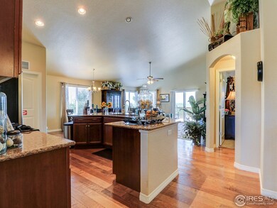 Open and Light Kitchen