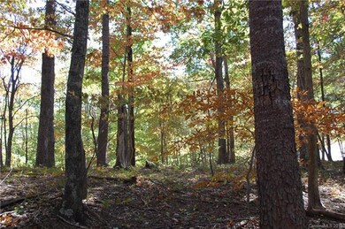 Fall Colors