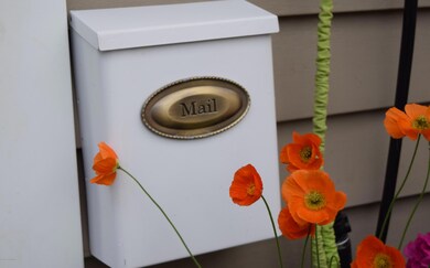 1514 Patterson St, Anchorage, AK 99504 - photo 6