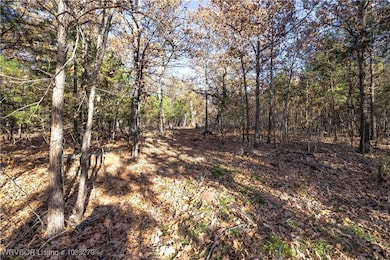 TBD S 4497 Rd, Vian, OK 74962 - photo 5