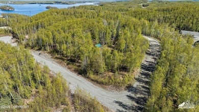 01-4658sburmarddrone_ZHM_001