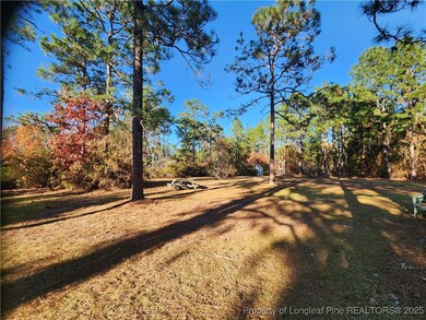 480 Shep Dr, Fayetteville, NC 28311 - photo 4
