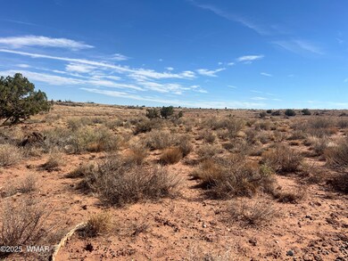 8362 Cupples Trail, Snowflake, AZ 85937 - photo 6